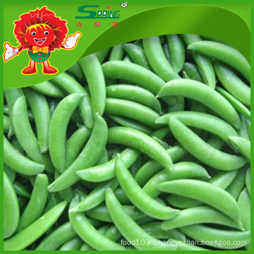 Suministro Bulk Snap Peas congelados IQF Sweet Peas